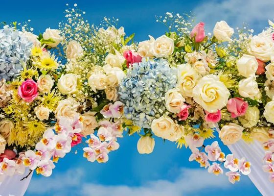 Best Wedding Flowers Guide - The Top 10 Blooming Marvels!