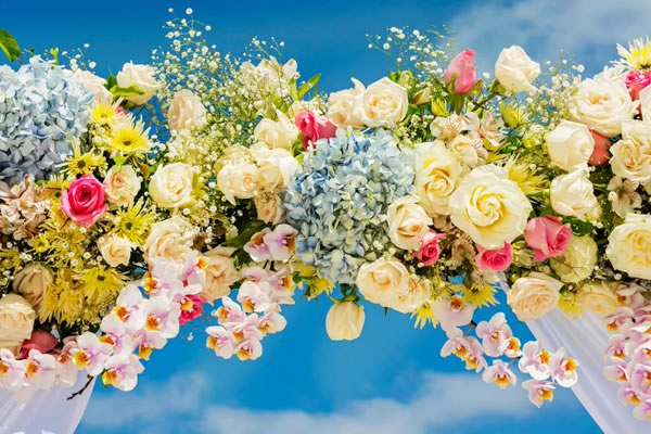 Best Wedding Flowers Guide - The Top 10 Blooming Marvels!